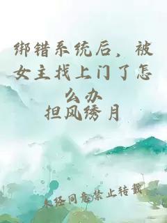 绑错系统后，被女主找上门了怎么办