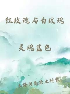 红玫瑰与白玫瑰