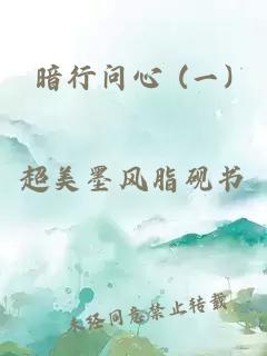 暗行问心 (一)