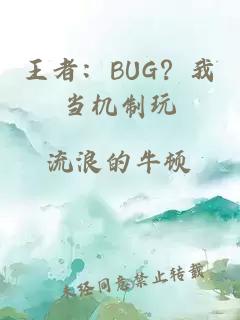 王者：BUG？我当机制玩