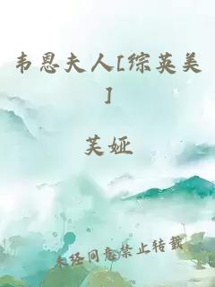 韦恩夫人[综英美]