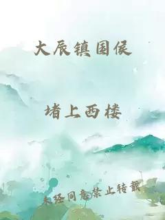大辰镇国侯