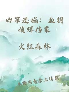 凶罪迷城：血钥侦缉档案