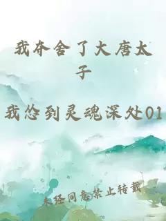 我夺舍了大唐太子