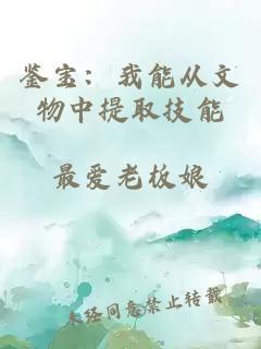 鉴宝:我能从文物中提取技能