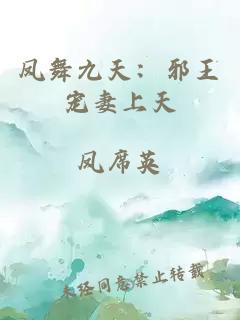 凤舞九天:邪王宠妻上天