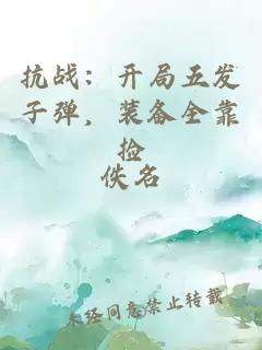 抗战：开局五发子弹，装备全靠捡